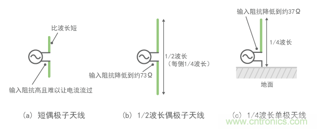 ż
